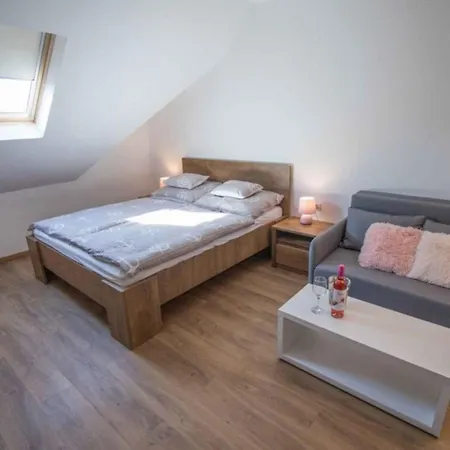 Beachfront In Fonyod-balaton 55423 Appartement