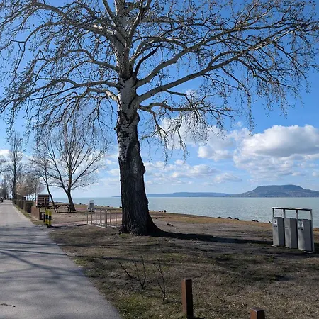 Beachfront In Fonyod-balaton 55423 * Fonyód